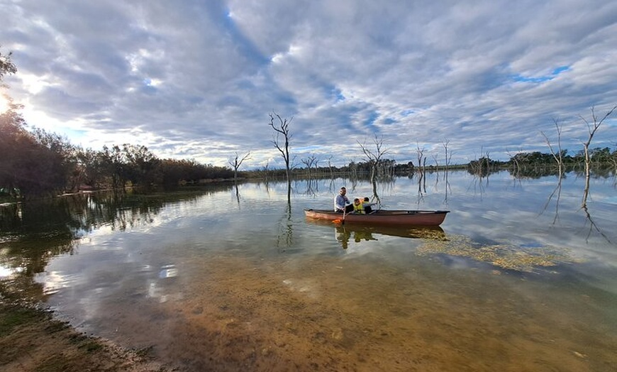 Image 4: Boshack Farm - Animal, Wildlife, Stargazing Nature Aussie culture