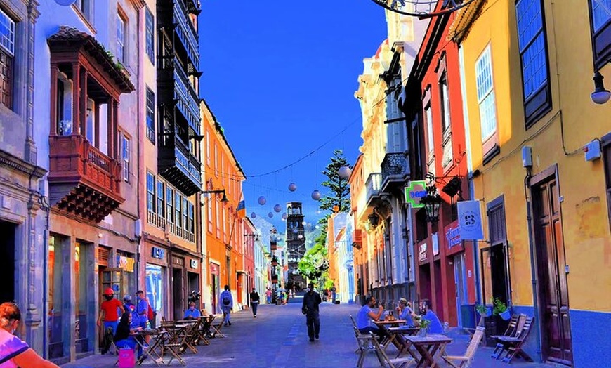 Image 4: Tour privado por Tenerife con guía en clase Mercedes V