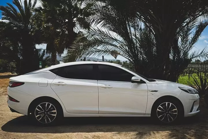 Valle de Guadalupe Private Transportation