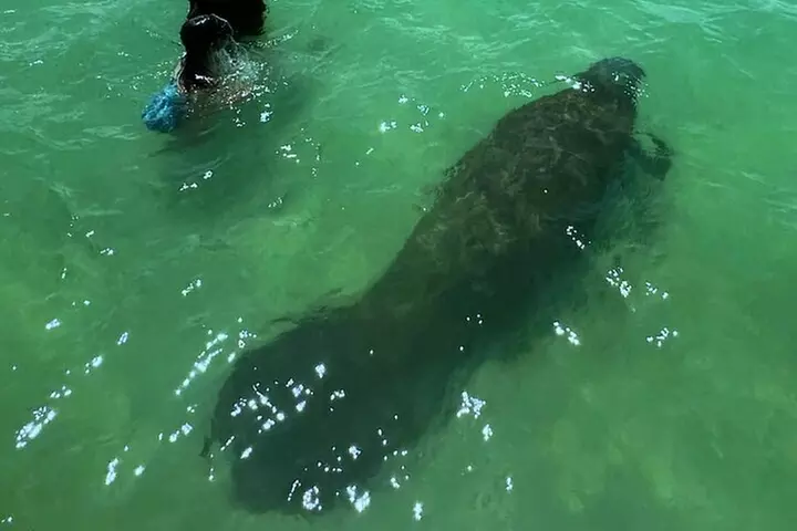 Clearwater Beach Private Pontoon Boat Tours