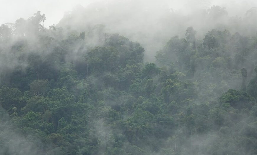 Image 13: Private Luxury Tour Above the Canopy Kuranda Experience