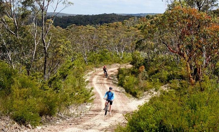 Image 6: Blue Mountains Electric Bike Tour with Transport