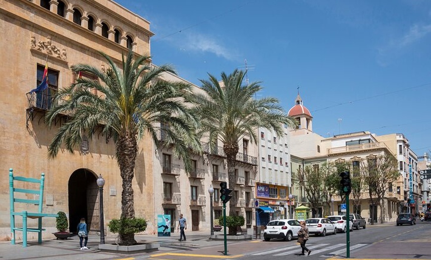 Image 2: Excursión privada de medio día a Elche desde Alicante