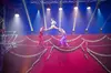 $22.50 For 1 Side Arena Seat for San Clemente CA Show (Reg. $45)