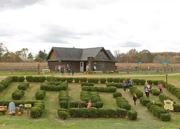 $24.95 for $49.90 worth of 2 General Admissions to 2024 Fall Festival