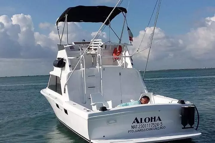 Private fishing charter Bertram 31ft 6 pax max if you don't fish yo...