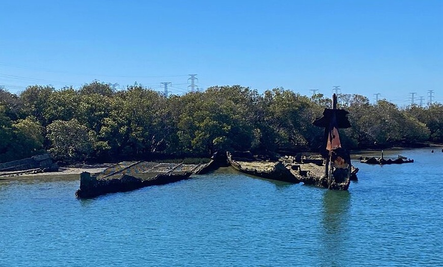 Image 10: 90 Minute Port River Dolphin & Ships Graveyard Cruise