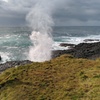 Image 17: Erupting Blowholes and Ancient Rainforests SOUTH COAST OF SYDNEY PR...