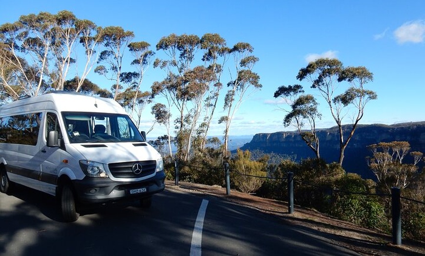 Image 16: Small Group Blue Mountains Wildlife and Bushwalk Tour From Sydney