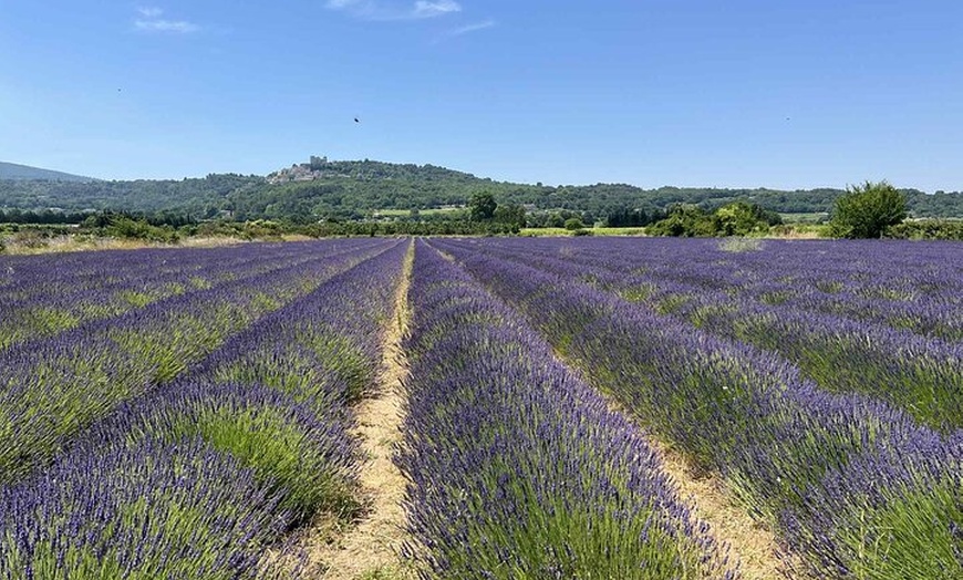 Image 12: Les Villages du Luberon & (Lavande juin/juillet) en visite privée