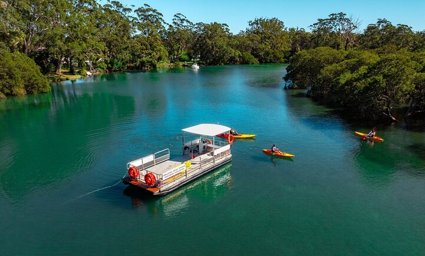 Image 4: Guided Kayak Tour