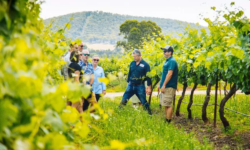Image 6: Small-Group Hunter Valley Wine Tasting Tour from Sydney