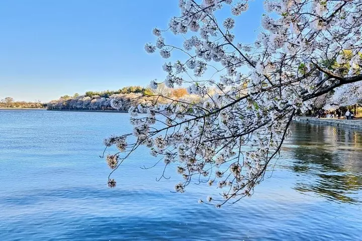 Small Group Washington DC Tour with Changing of the Guard
