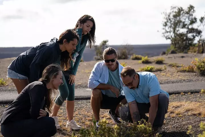 Big Island Highlights: Coffee, Volcano, Black Sands & Waterfall