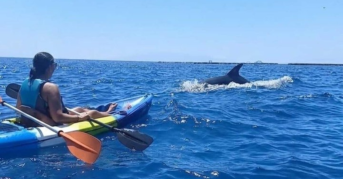 Actividad de kayak y snorkel en Los Cristianos, Tenerife