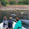 Image 35: Luxury Costal Rib Tour to Babbacombe Bay from Exmouth Marina