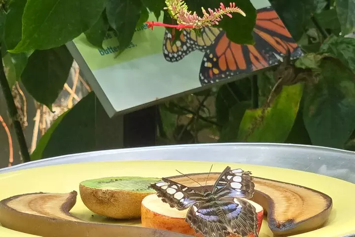 Lincoln Park Nature Museum & Zoo Private Walking Tour