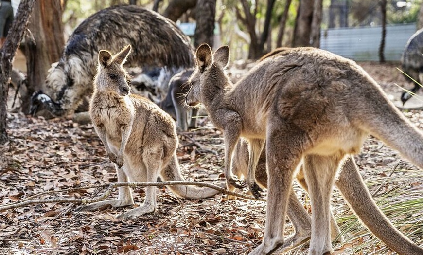 Image 9: 14 Day Tour from Sydney to Cairns Fraser Island and Whitsundays