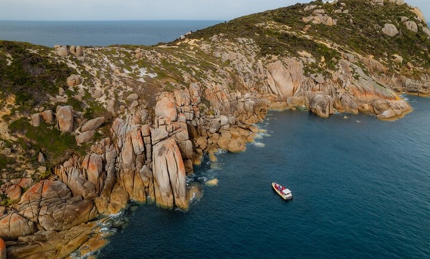 Image 9: Whale Watching Cruise from Tidal River
