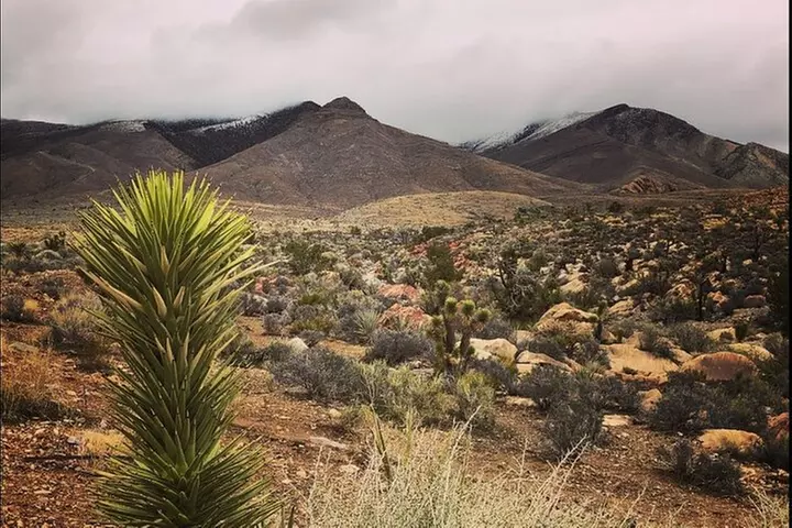 Las Vegas ATV Tours