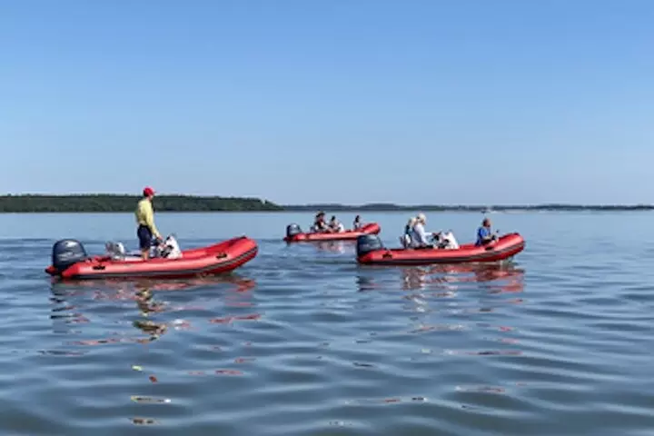Hilton Head Sunset Dolphin and Sightseeing Tour via Mini Boat