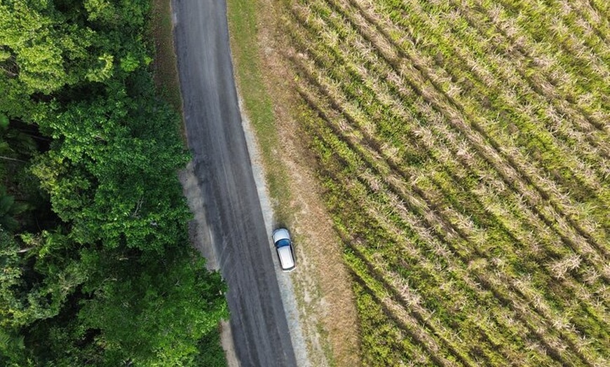 Image 4: Private Guided Tour in Port Douglas and Surrounds