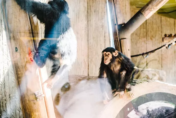 Sydney Taronga Zoo Wild Australia Experience