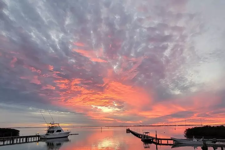 Sunset Dolphin Watch Tour