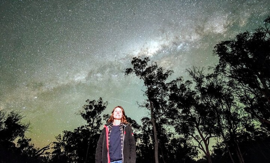 Image 4: Australian Animal Night Safari