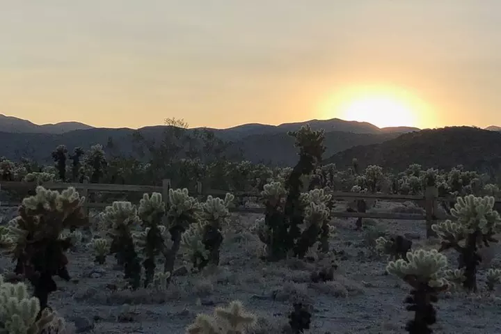 Joshua Tree National Park Driving Tour