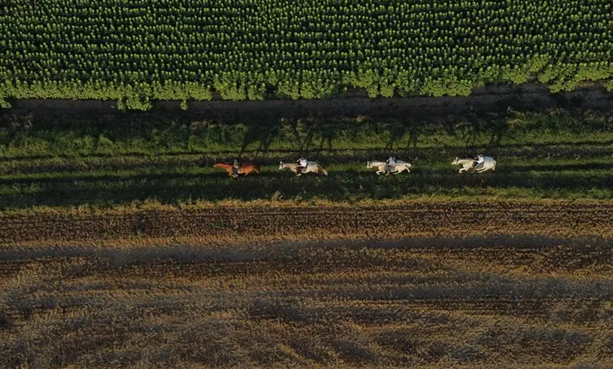 Image 4: A caballo entre viñedos y cata de vinos: Aventura y enoturismo