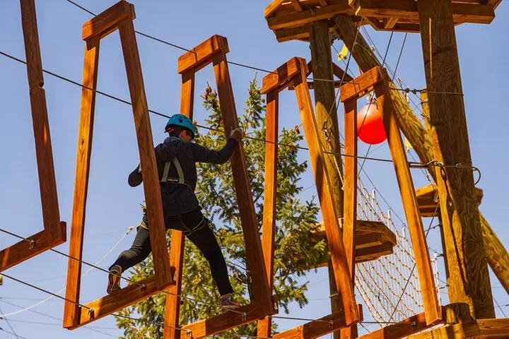 Explore SkyTrek, an above-the-trees Aerial Challenge Course - Primary Image
