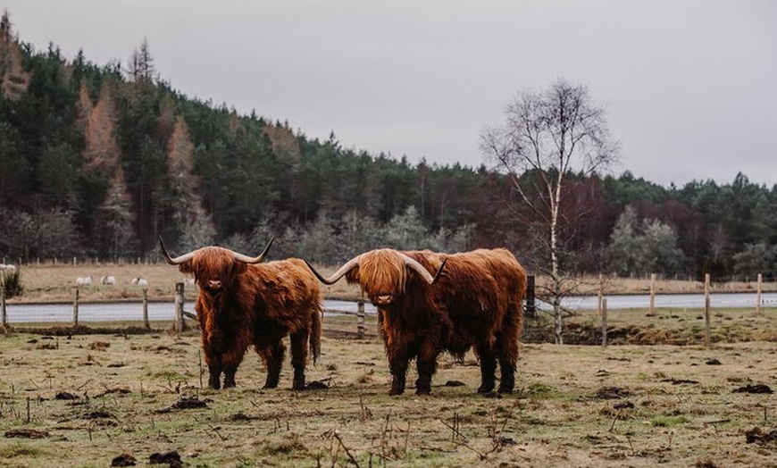 Image 3: Loch Ness and Inverness Shore Excursion with Cruise Port Pickup