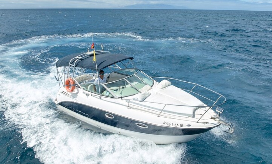 Image 2: Tour charter Tenerife Barco Armani