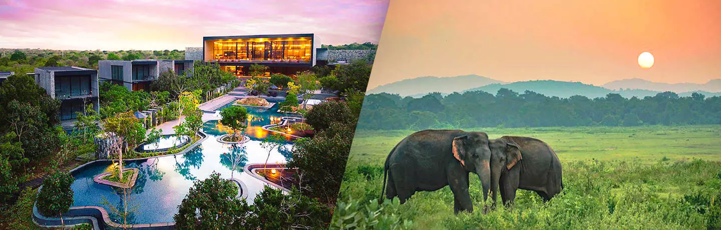 ✈ SRI LANKA | Yala - Hilton Yala Resort 5*, 5 nuit - Tout inclus - Primary Image