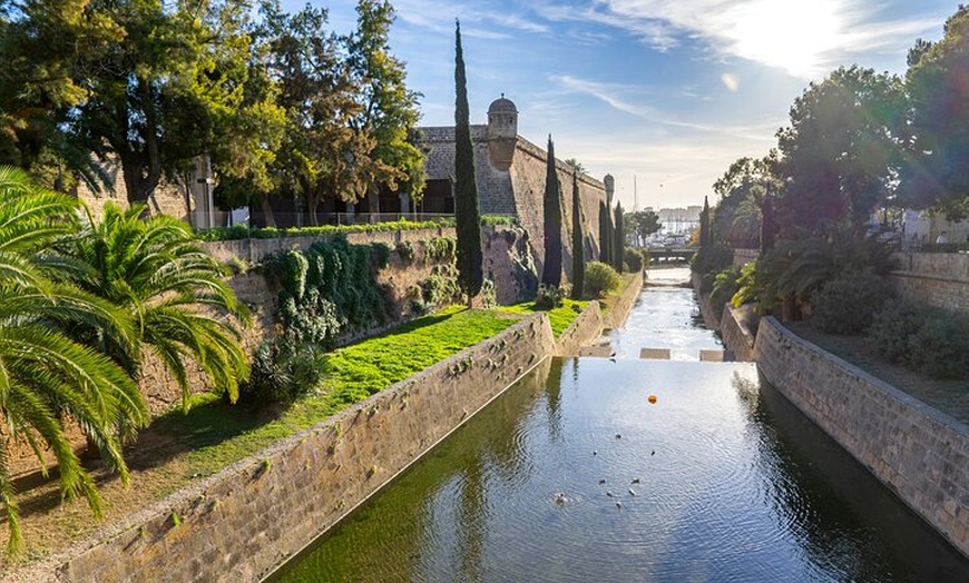 Image 3: Palacios, Jardines y Catedral de Palma