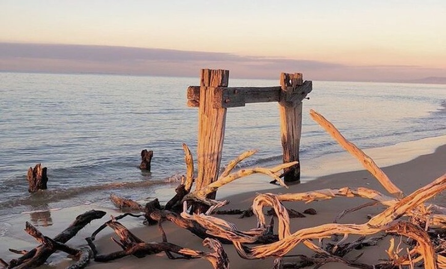 Image 6: Self-Guided Point Nepean National Park Bike Hire