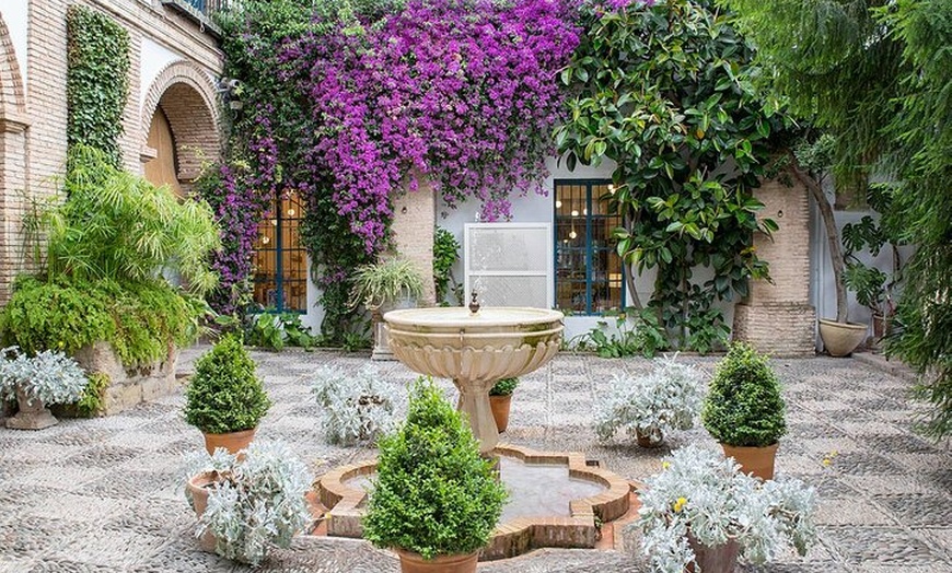 Image 1: Visita Guiada al Palacio de Viana