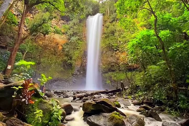 Kauai Adventure: Kayak & Hike to Secret Falls with Expert Guide