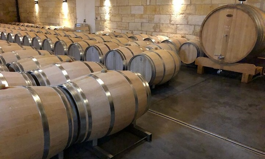 Image 6: Visite des Vignobles Journée Saint Emilion et Médoc