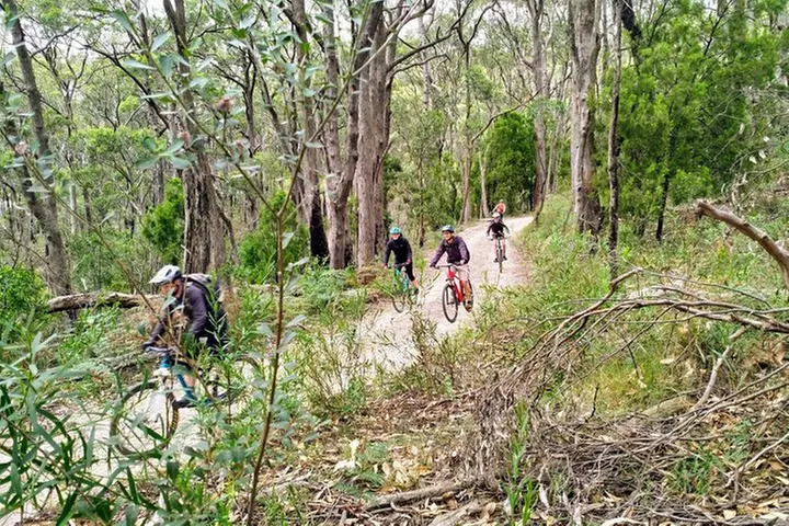 Mount Lofty & Adelaide Hills Guided MTB Tour