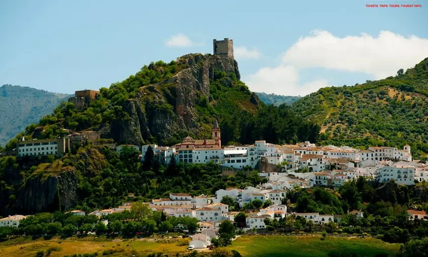 Image 15: Día en Pueblos Blancos y Ronda desde Sevilla