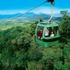 Image 6: Kuranda Tour Express Adventure