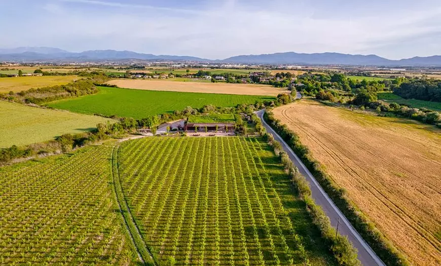 Image 6: A caballo entre viñedos y cata de vinos: Aventura y enoturismo