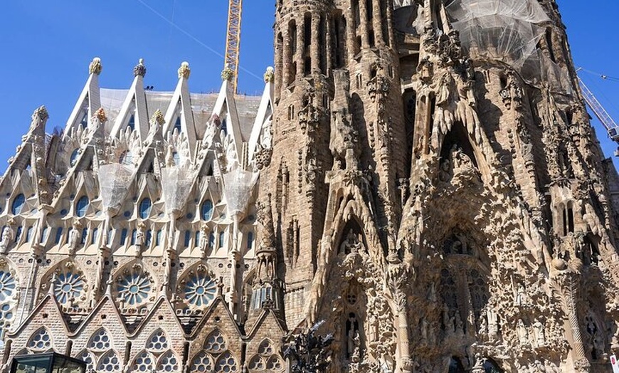 Image 7: Visita guiada Sagrada Familia & Park Güell
