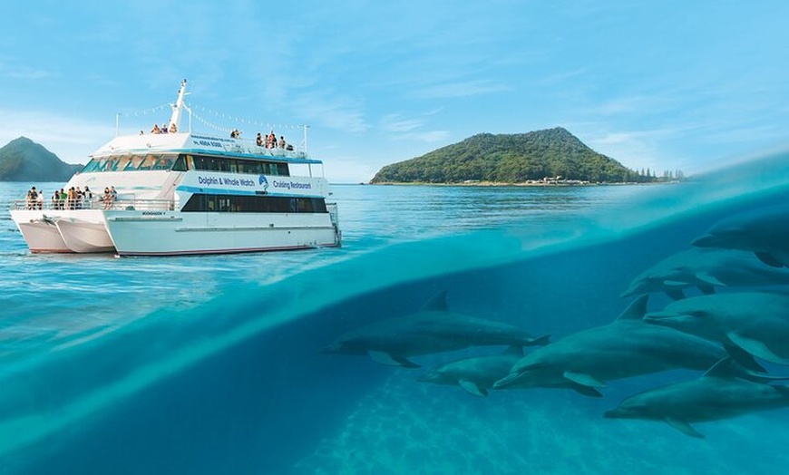 Image 1: Port Stephens Dolphin Cruise Koalas Sandboarding Japanese Tour