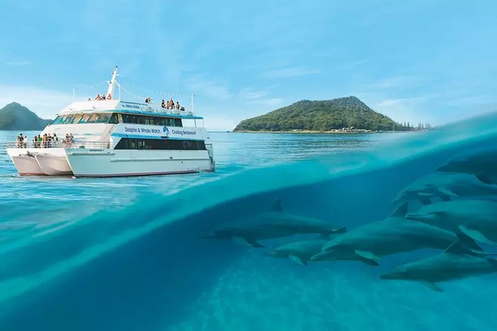 Port Stephens Dolphin Cruise Koalas Sandboarding Japanese Tour - Primary Image