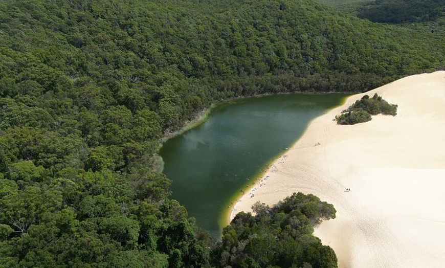 Image 18: Dingos 3 Day K'Gari (Fraser Island) ​4WD Tag-Along Tour