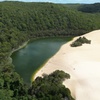 Image 18: Dingos 3 Day K'Gari (Fraser Island) ​4WD Tag-Along Tour