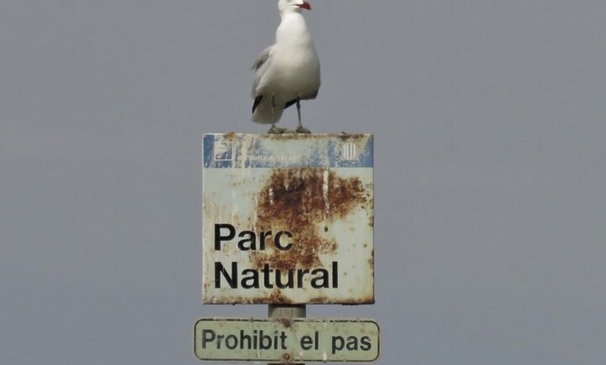 Image 7: Inmersión Holística en la Reserva de la Biosfera de les Terres de l...